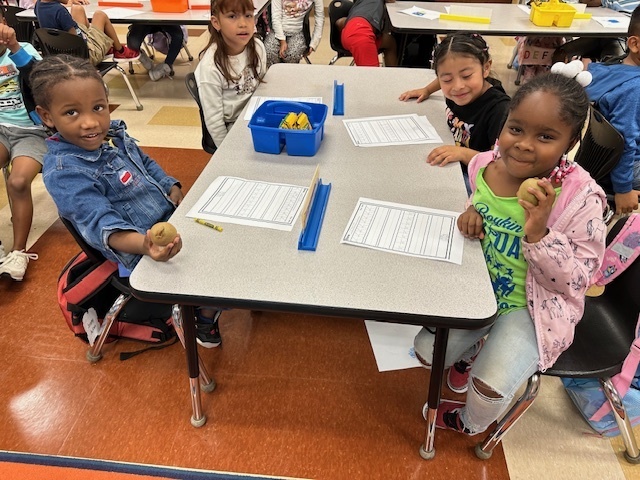 students sitting and holding kiwis