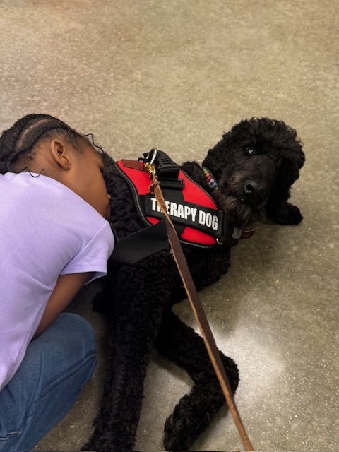 A student lays their head on a therapy dog