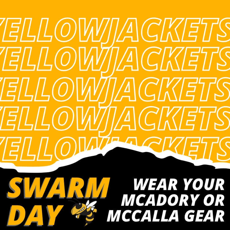 swarm day