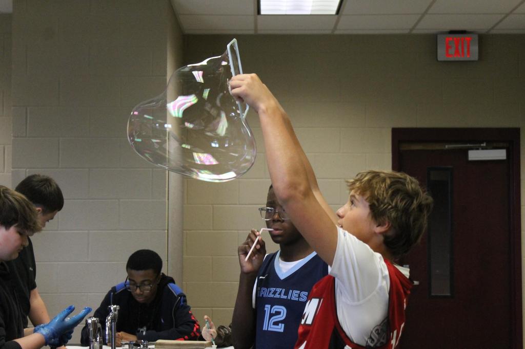 Mrs. Lindsey's Class Lab Activity