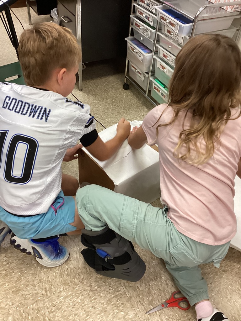 Students working on their volume zoo animals