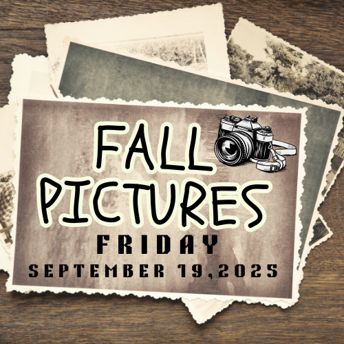 fall picture 