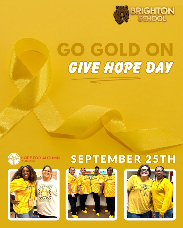 flyer for give hope day