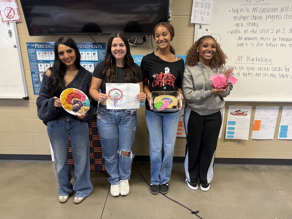 AP Psychology 3D Brains
