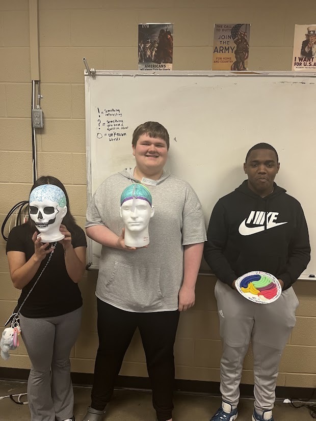 Scott Smith's 3rd Period  Class-3D Brain Project