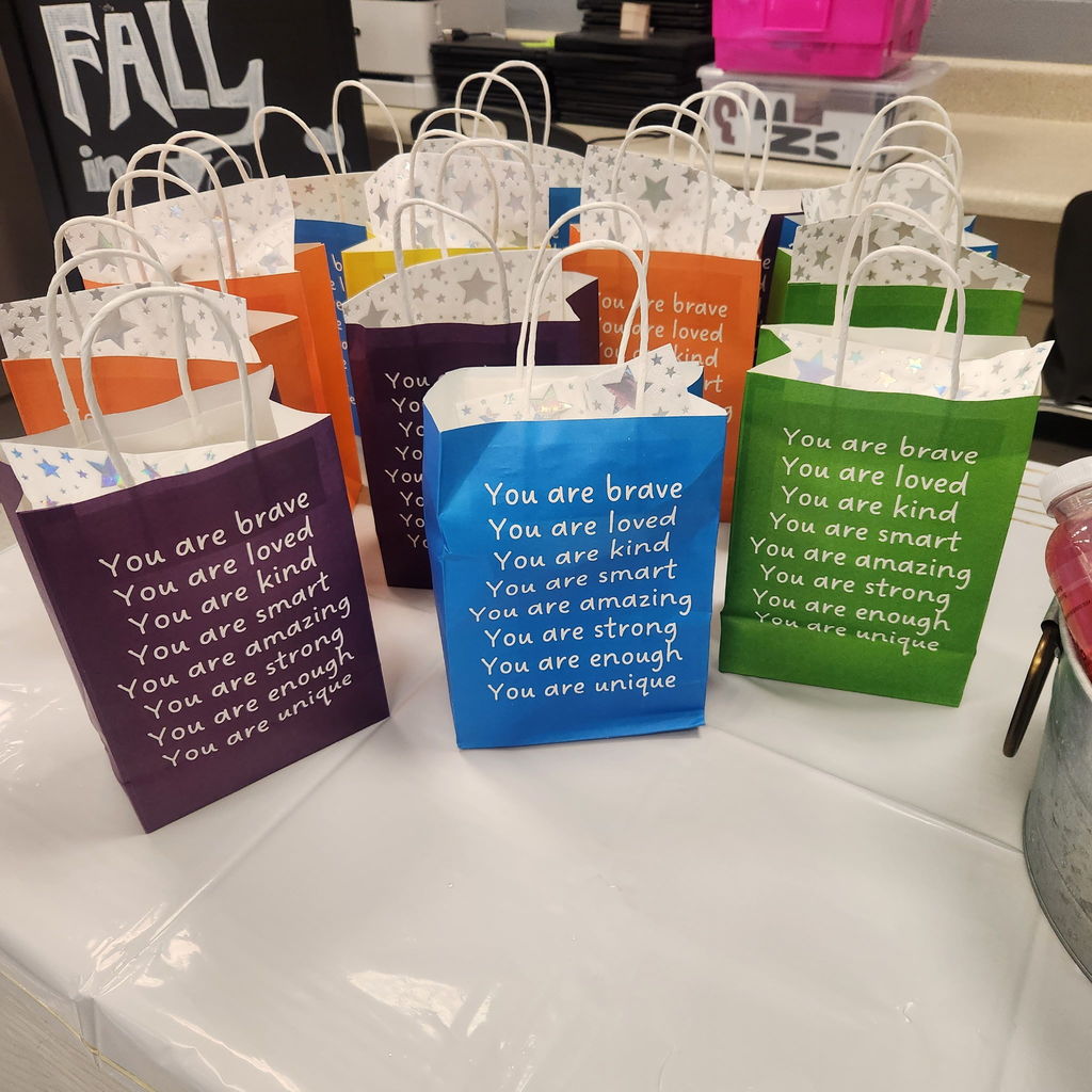 Gift bags for Leadership