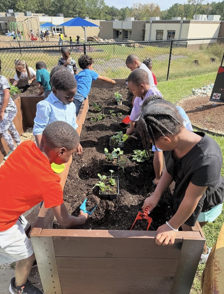 Students plant vegetables in a garden outside Grantswood Community School