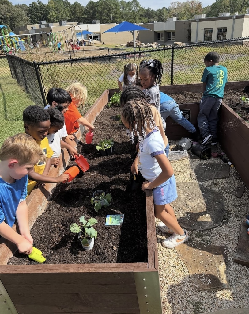 Students plant vegetables in a garden outside Grantswood Community School