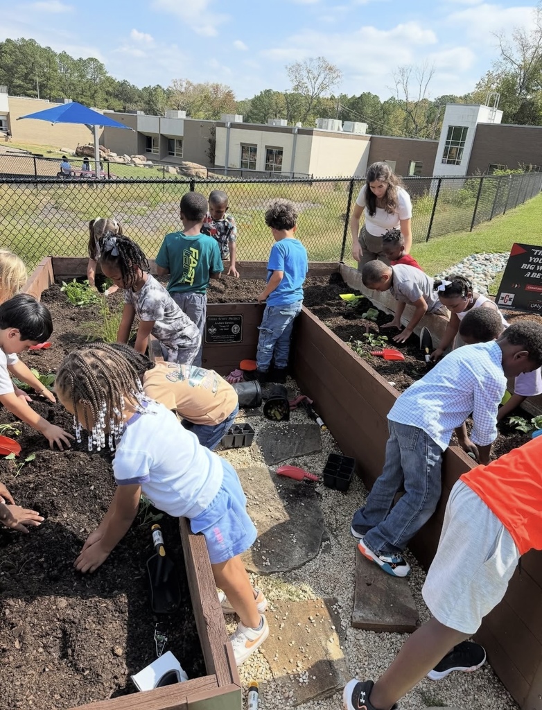 Students plant vegetables in a garden outside Grantswood Community School