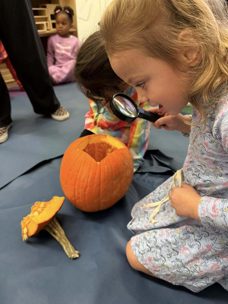 A student sits on the flood of a classroom and looks at a pumpkin through a magnifying glass.