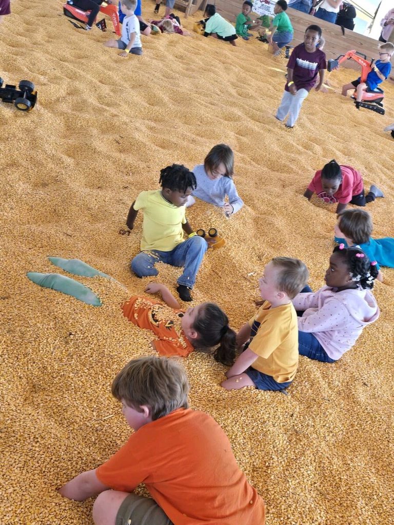 Students sit in a pit of corn.