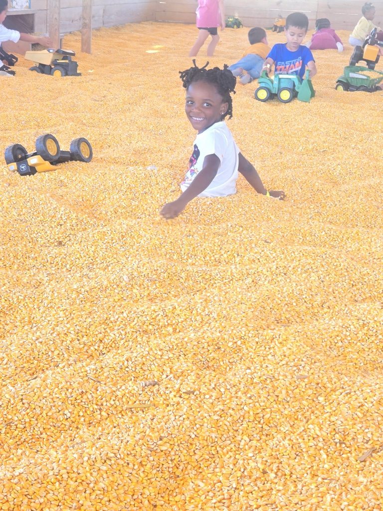 A student sits in a pit of corn.