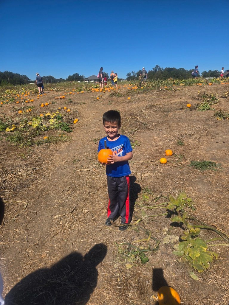A student stands in a pumpkin patch and holds a pumpkin.