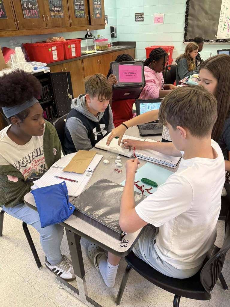 students group project