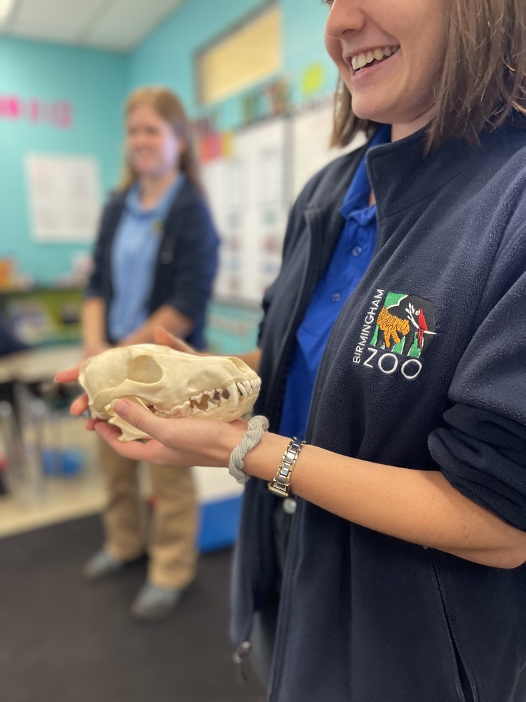 Birmingham Zoo visits 3rd grade