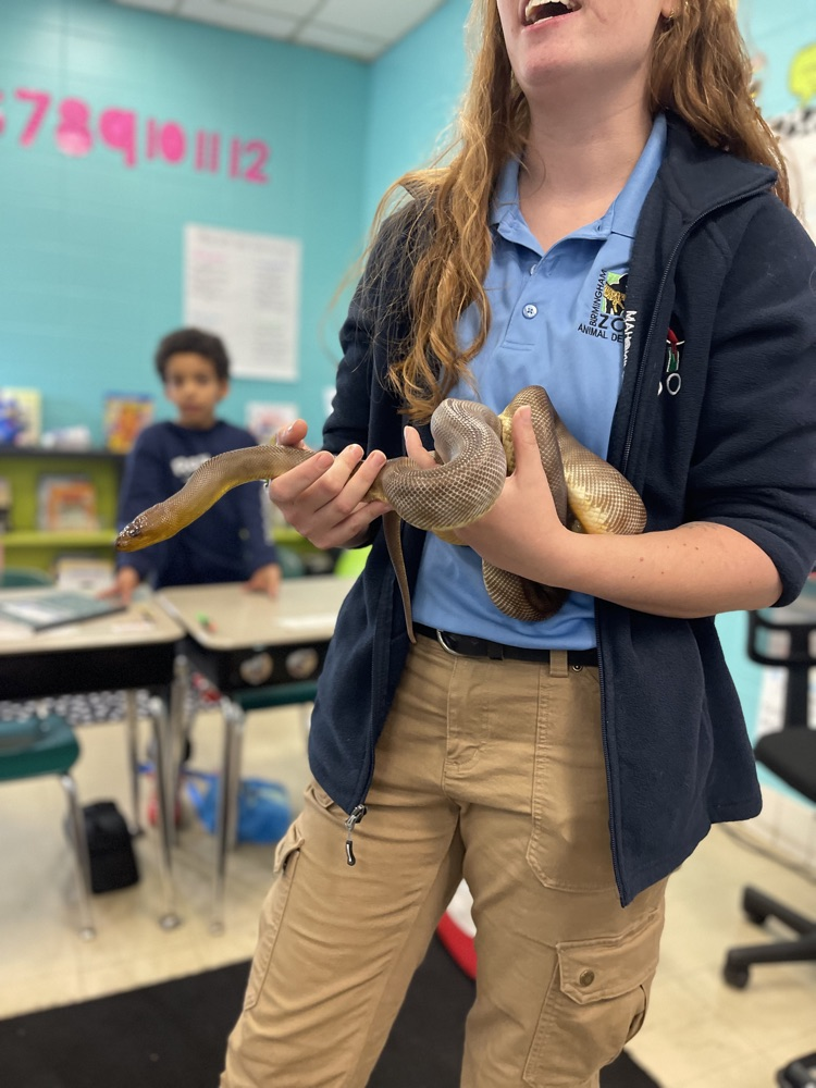 Birmingham Zoo visits 3rd grade