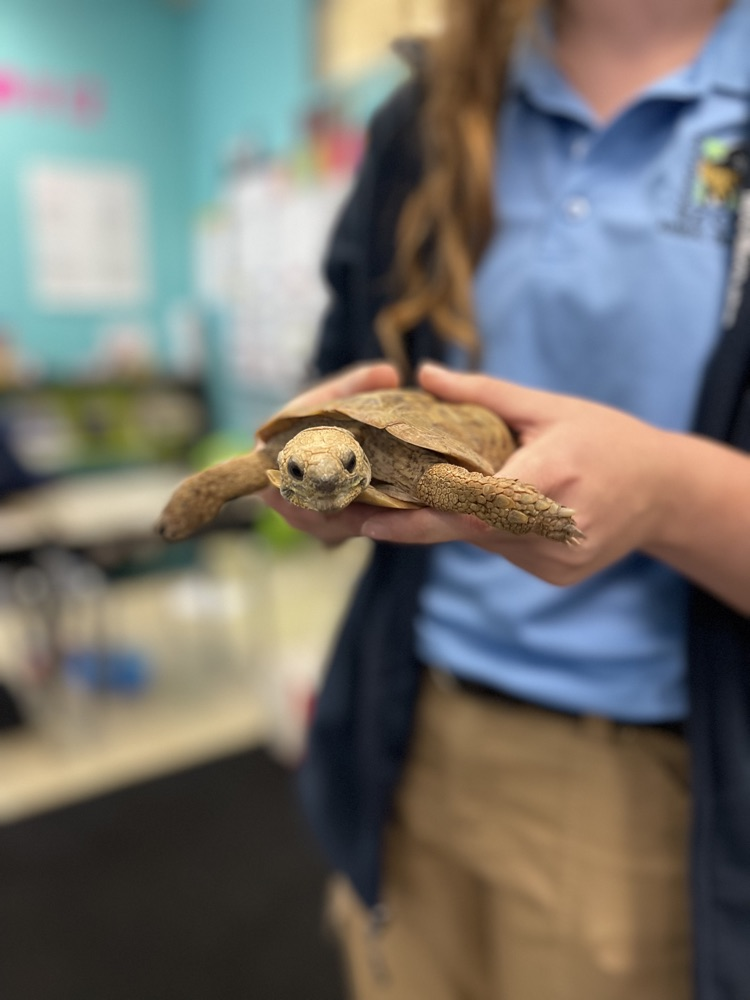 Birmingham Zoo visits 3rd grade
