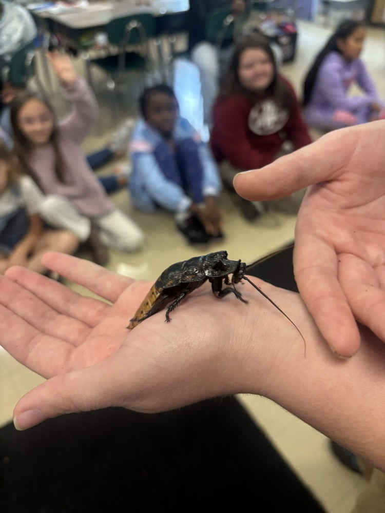 Birmingham Zoo visits 3rd grade