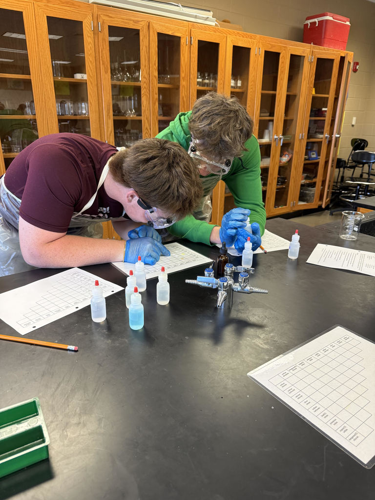 Advanced Chemistry Lab in Action