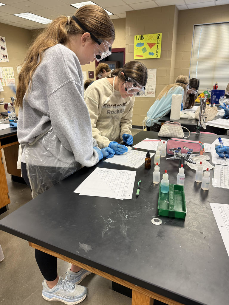Advanced Chemistry Lab in Action