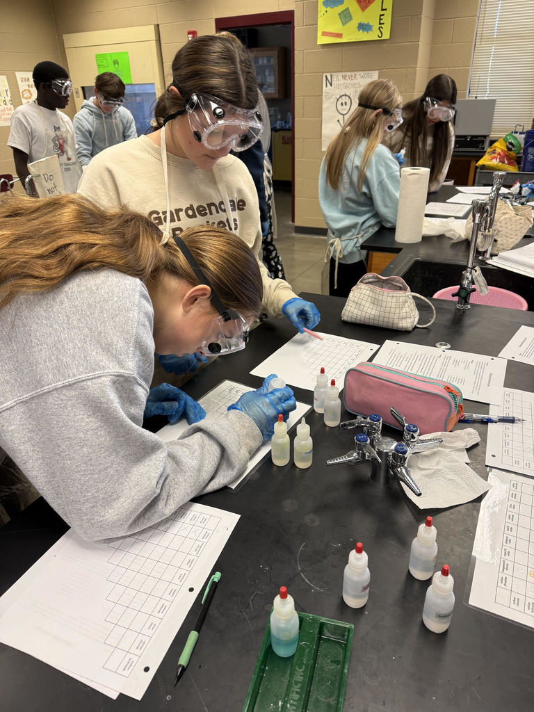 Advanced Chemistry Lab in Action