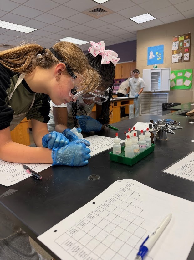 Miss Kozlov and Miss Rowan’s chemistry students explored the exciting world of reactions!
