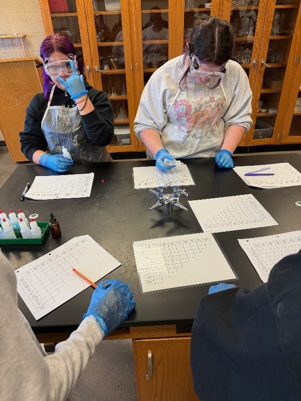 Miss Kozlov and Miss Rowan’s chemistry students explored the exciting world of reactions!