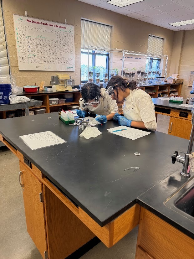 Miss Kozlov and Miss Rowan’s chemistry students explored the exciting world of reactions!