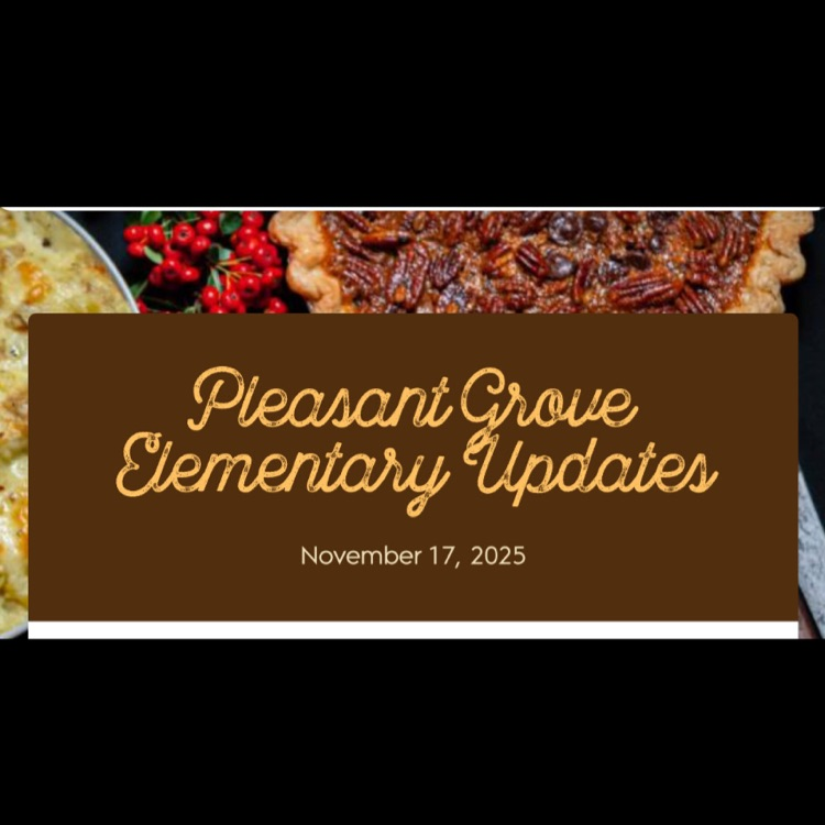 A flyer for the November 17th newsletter.