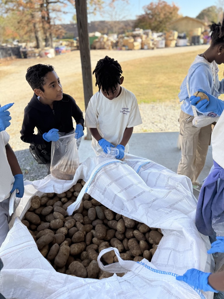 Students stand outside, placing potatos into bags.