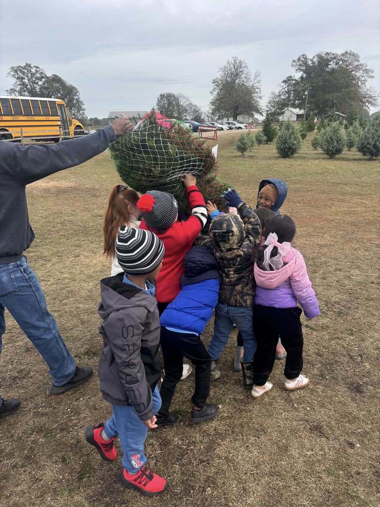 A group of students and an adult hold up a Christmas tree that's in a netted wrap.