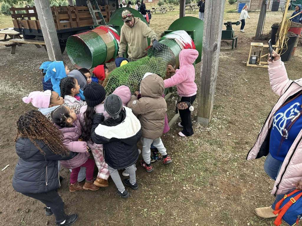 Students gather around a machine as it puts netting around a Christmas tree.