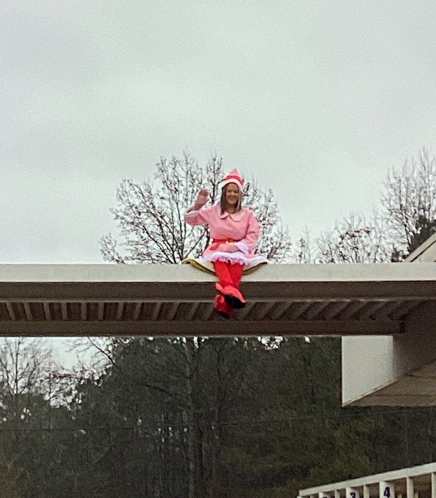 Mrs. Wilson on top of the school's awning