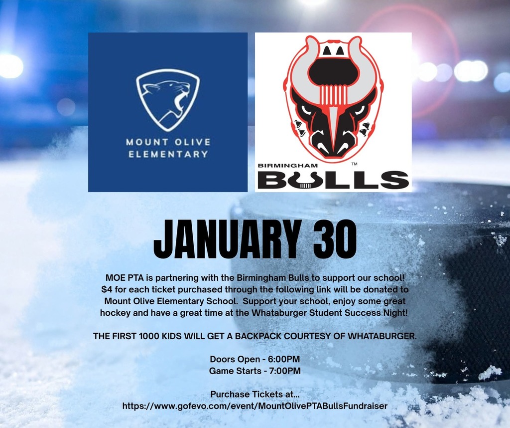 MOE Night at the Birmingham Bulls Jan. 30 