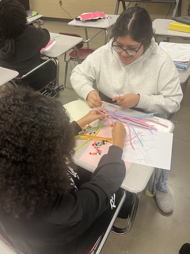 Neuron Class Assignment 