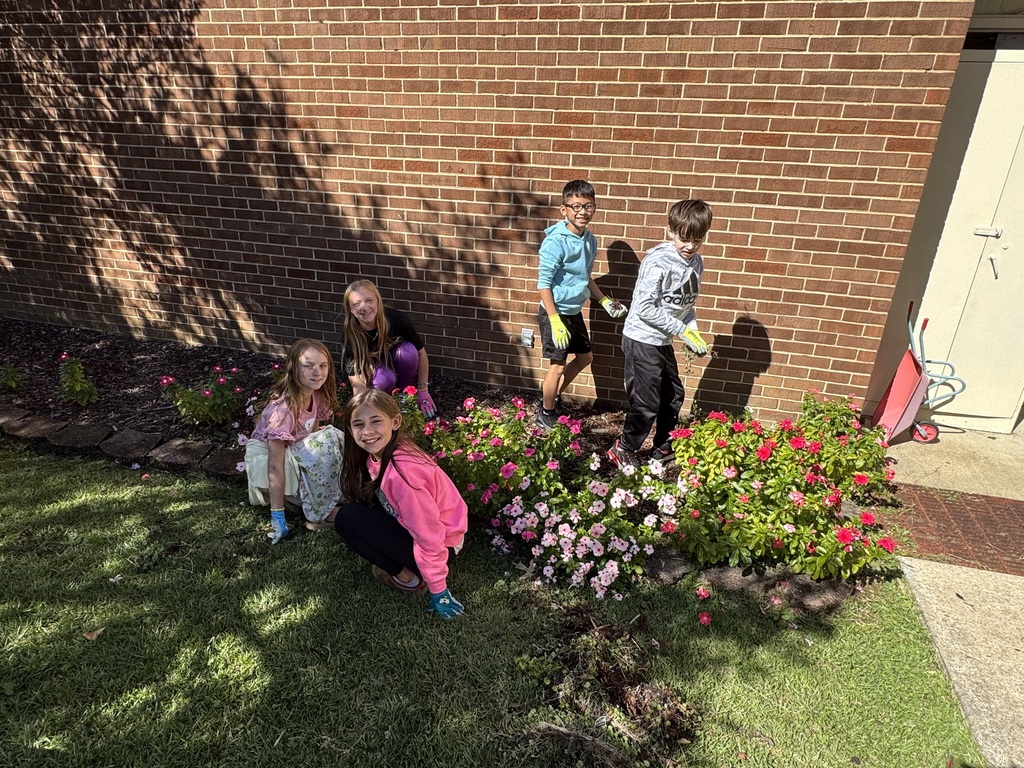 A group of elementary school students work outside in a flower garden. 