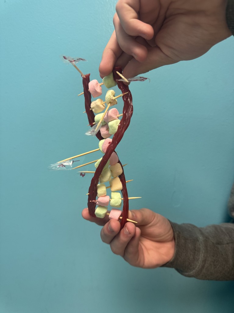 Displaying finished Double Helix