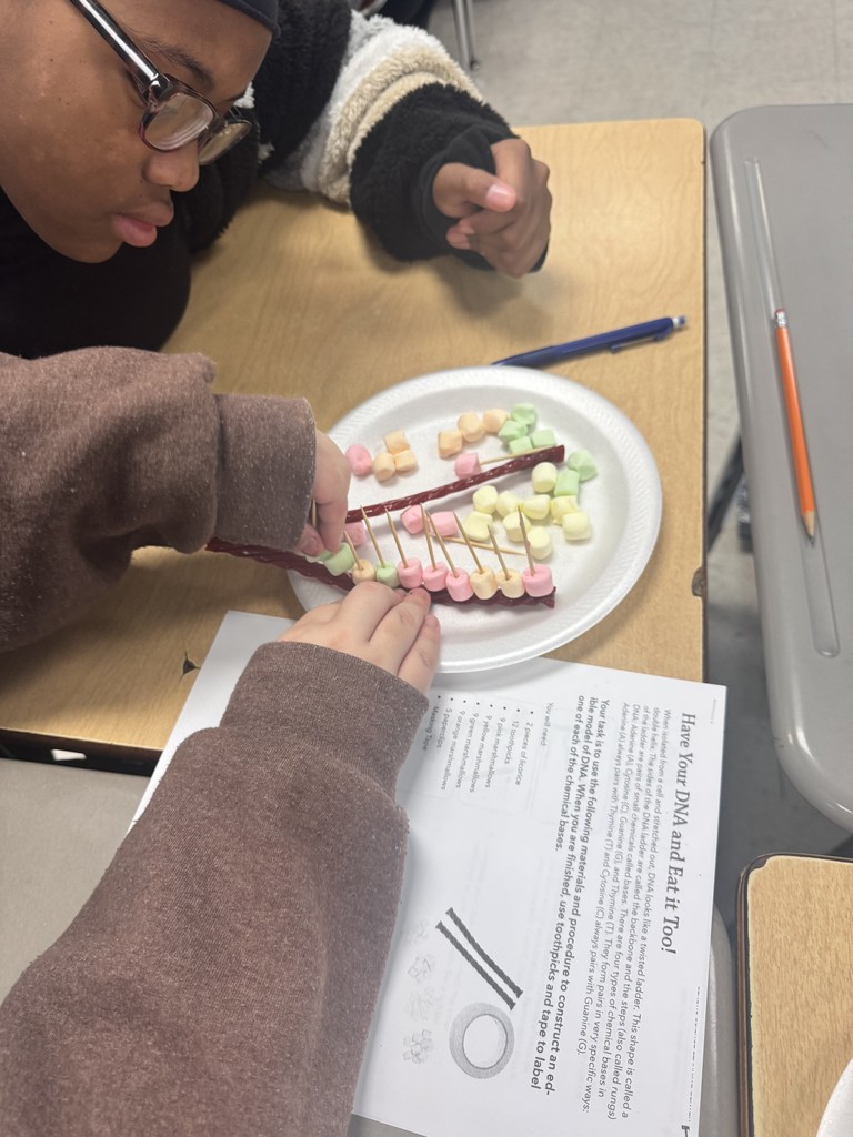 Students working on Double Helix