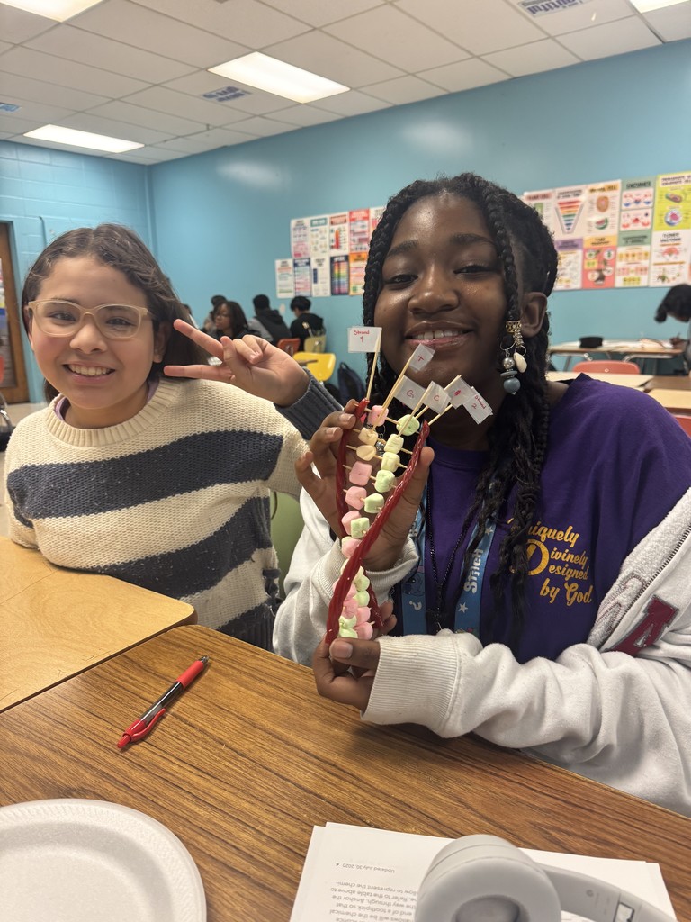 Students working on Double Helix