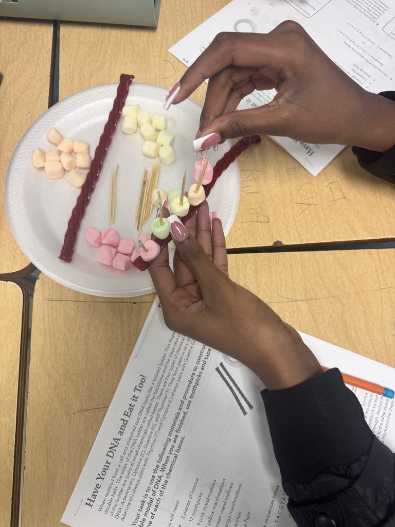 Double Helix Display