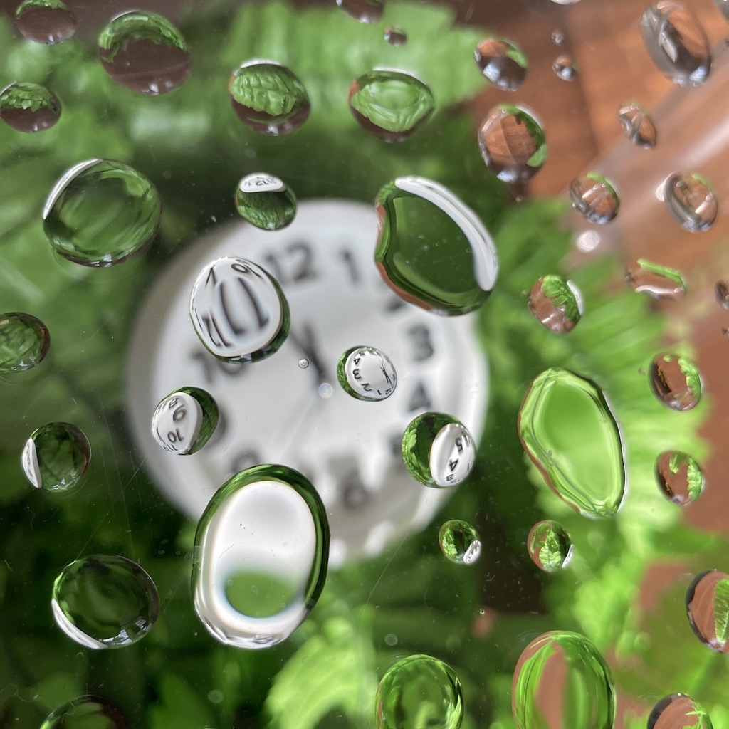Image is a photograph of a blurry clock surrounded by green and orange with drops of water in focus over the image. 