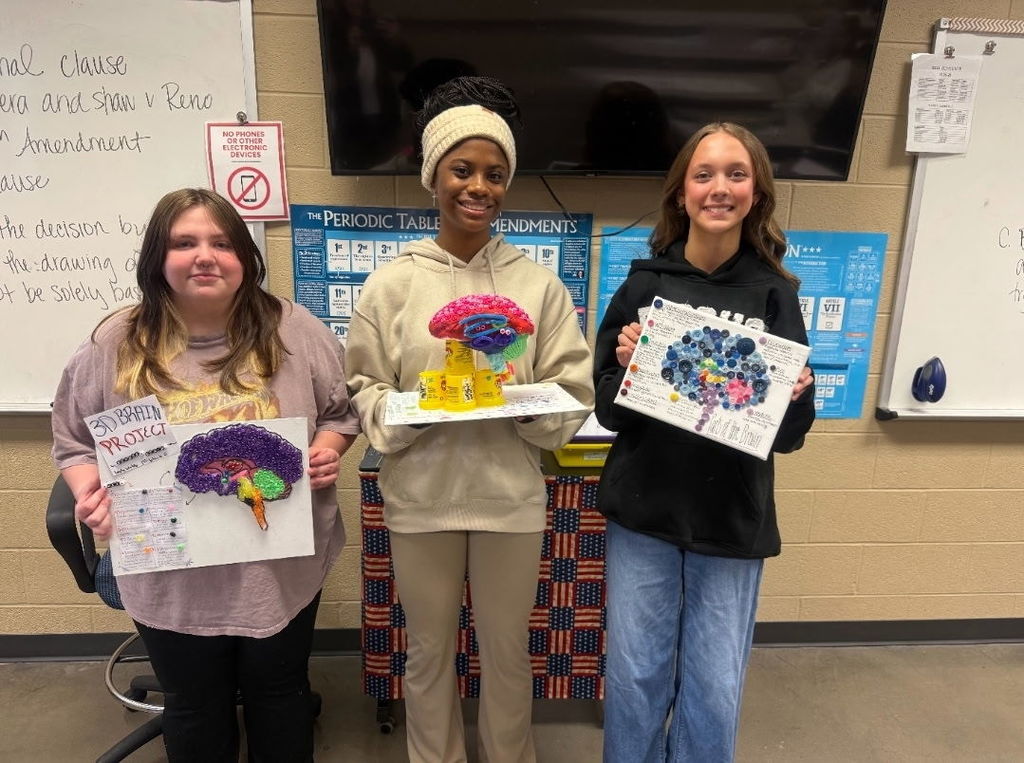 3 D Brains in AP Psychology