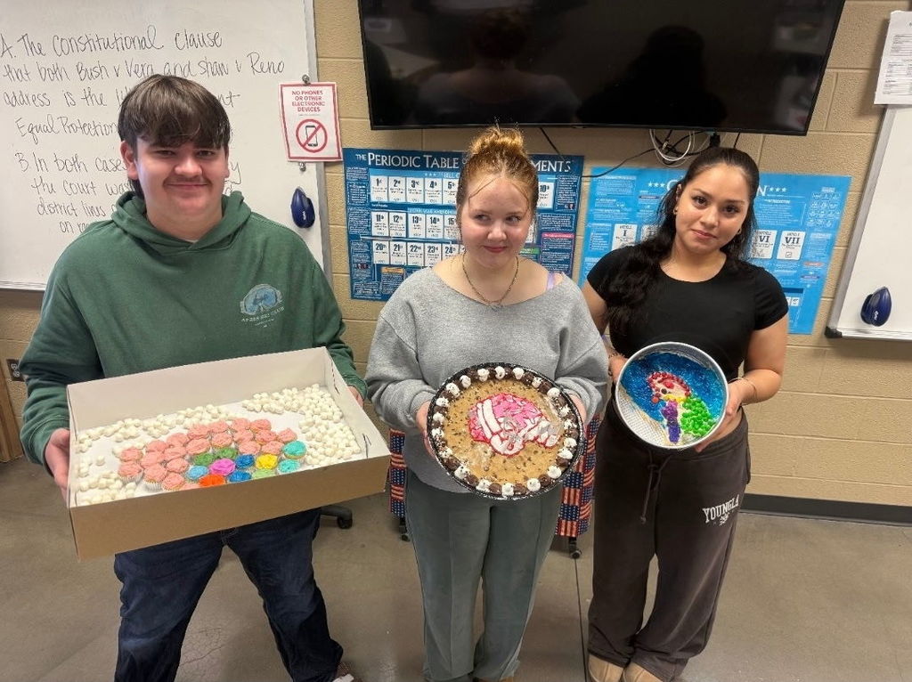 3 D Brains in AP Psychology