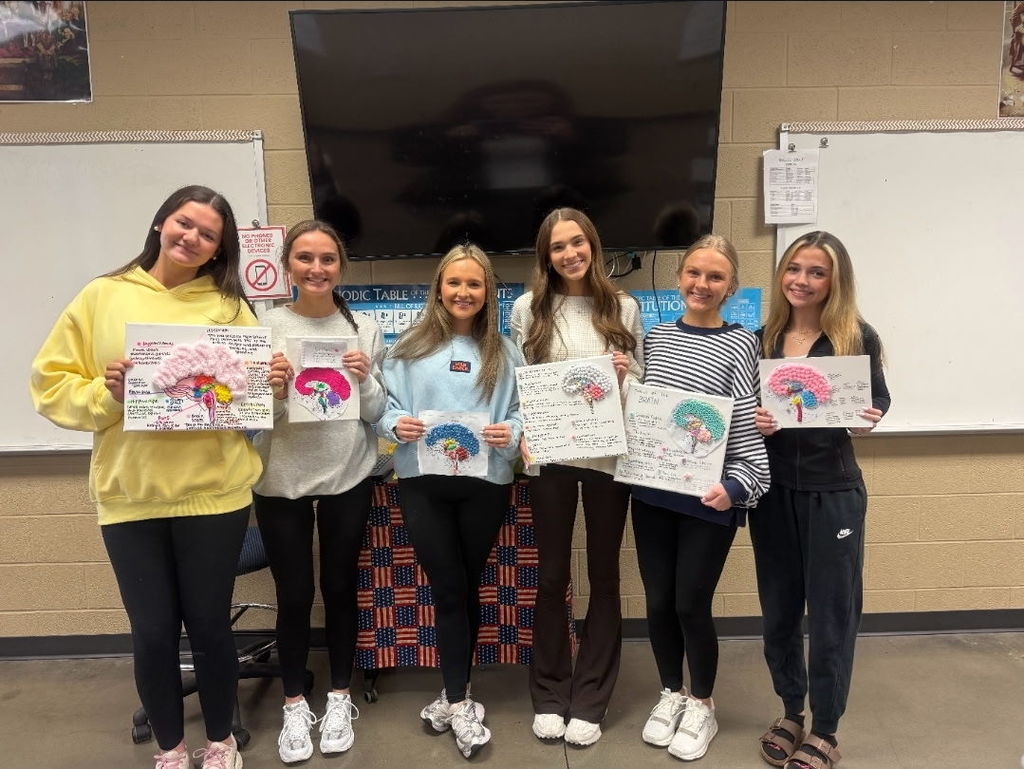 3 D Brains in AP Psychology