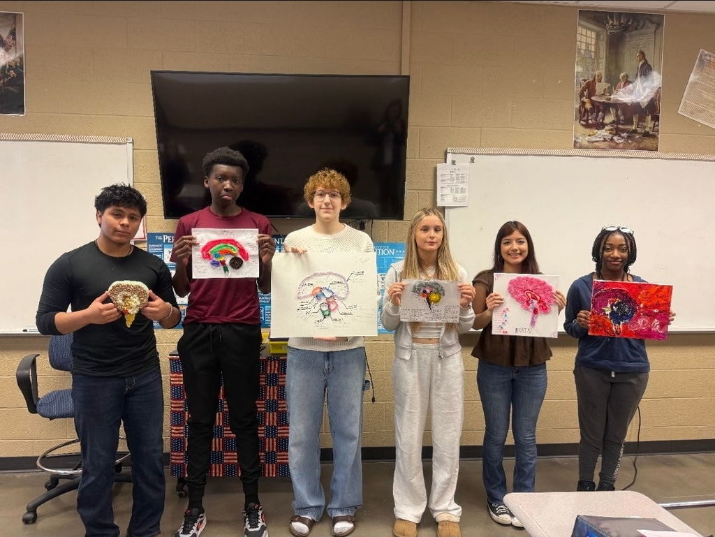 3 D Brains in AP Psychology