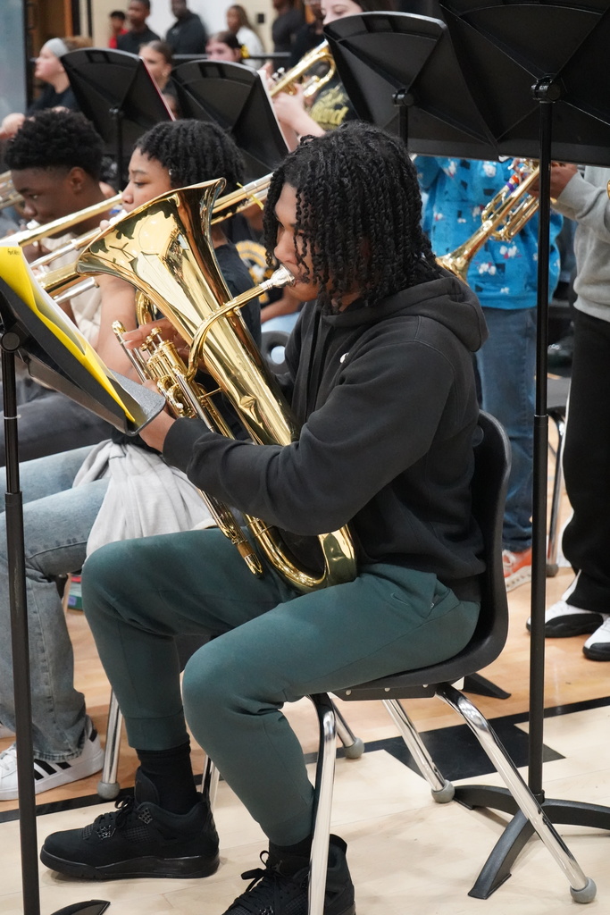 McAdory Middle School students play instruments during the school's Black History Month program.
