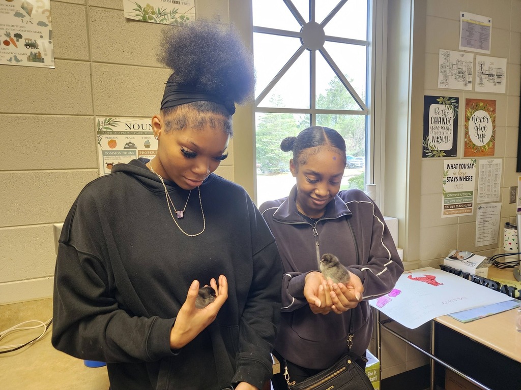 Two students stand in a classroom and hold chicks.