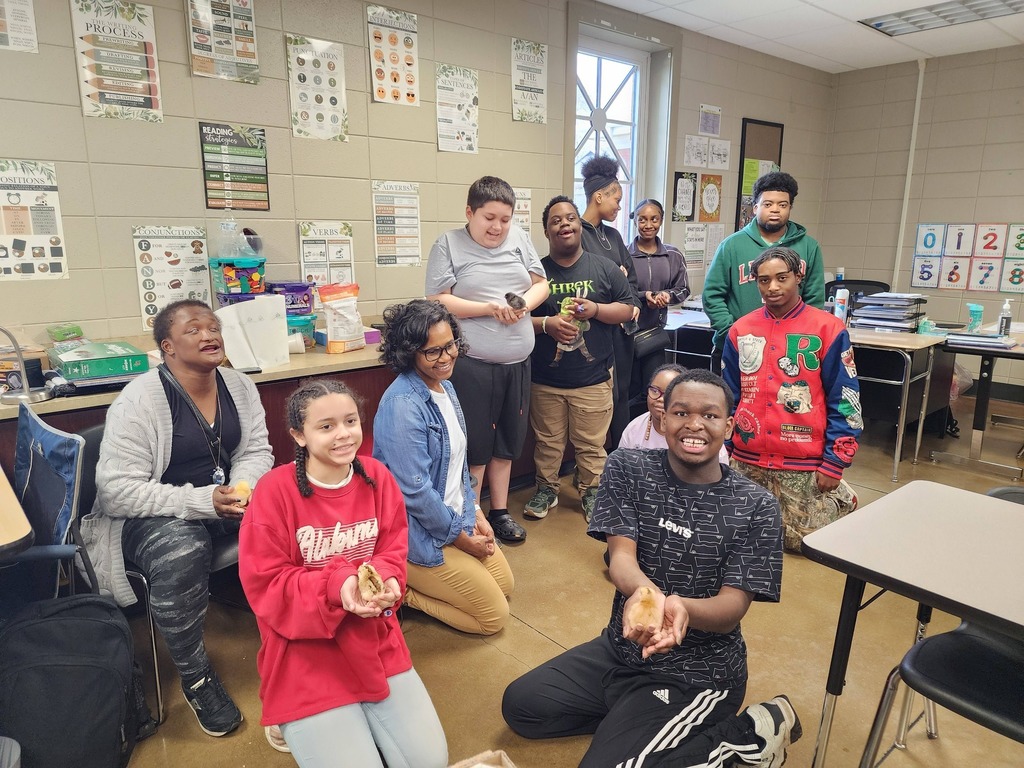 Students in a self-contained class at Pleasant Grove High School sit and stand in a classroom. They smile and hold chicks that they hatched.