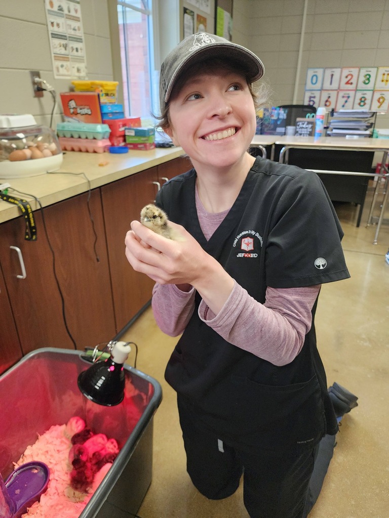 A JEFCOED child nutrition worker holds a baby chick inside a Pleasant Grove High School classroom.