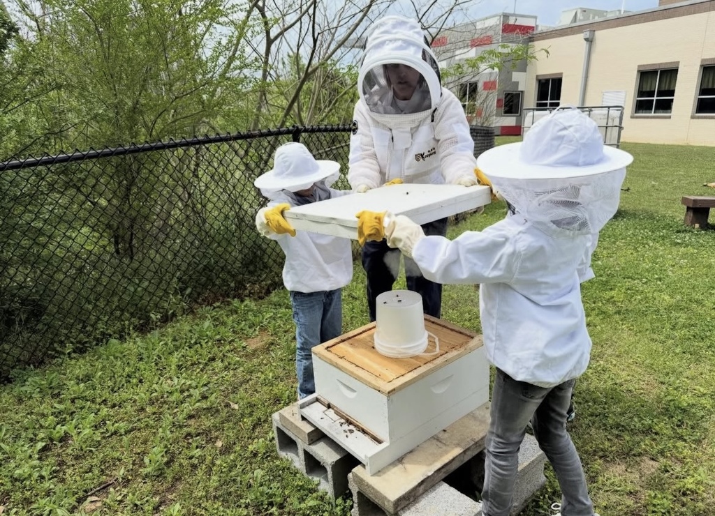 Students and an adult lift the top off of a bee box while beekeeping. The students and the adult all wear beekeeping suits.